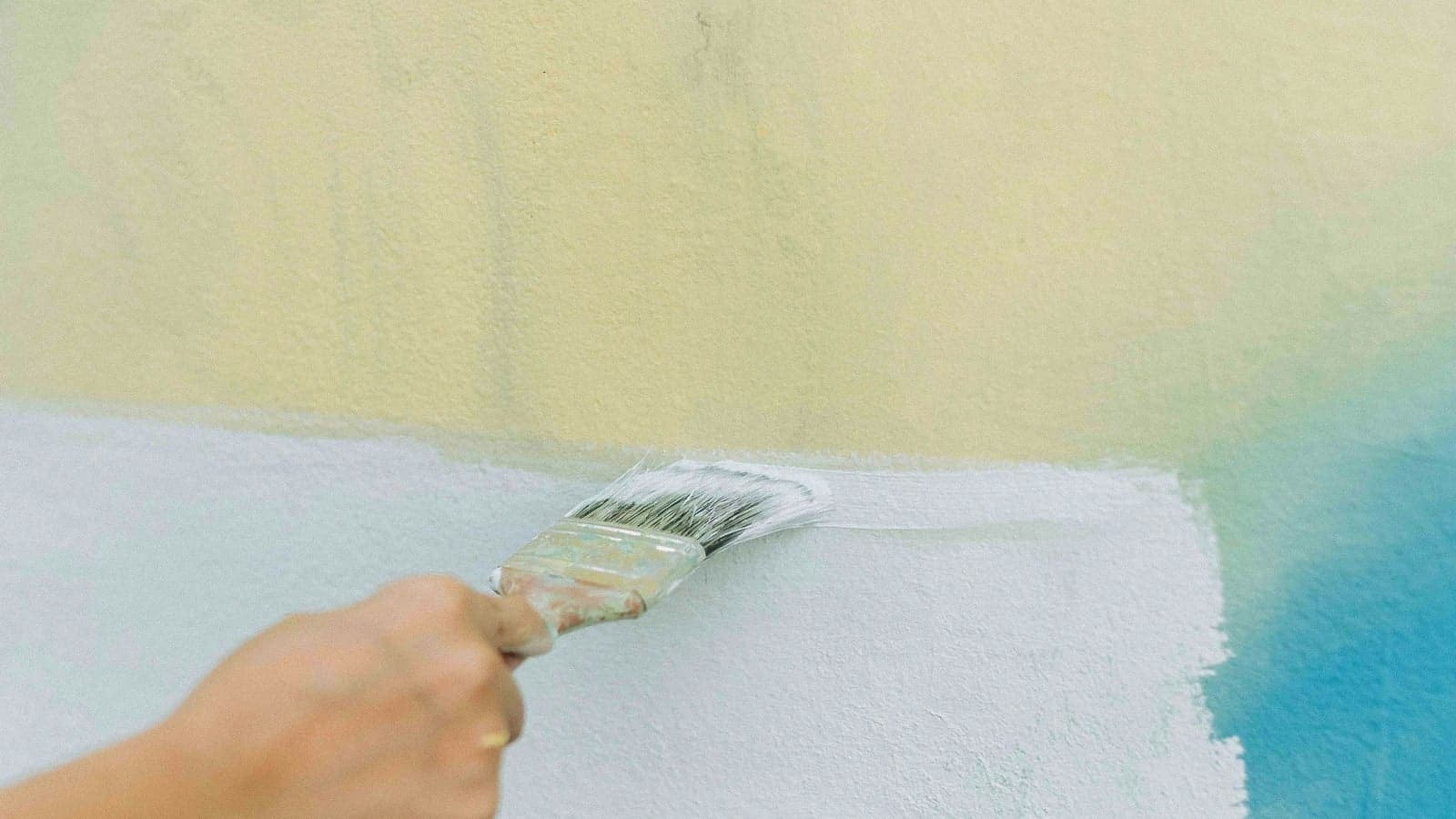 Close-up of a fresh interior paint finish on a clean wall in natural light
